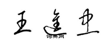 梁锦英王进忠草书个性签名怎么写