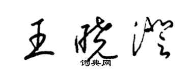梁锦英王晓澄草书个性签名怎么写