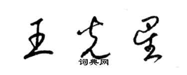 梁锦英王光星草书个性签名怎么写