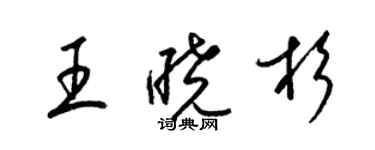 梁锦英王晓杉草书个性签名怎么写