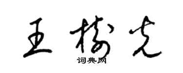 梁锦英王树光草书个性签名怎么写