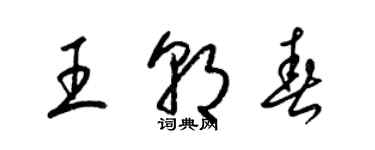 梁锦英王朝春草书个性签名怎么写