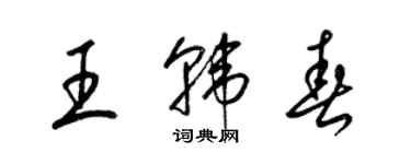 梁锦英王韩春草书个性签名怎么写
