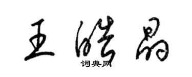 梁锦英王皓晶草书个性签名怎么写