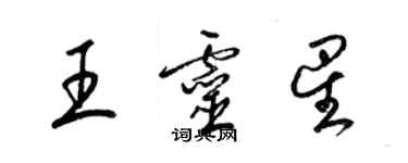 梁锦英王灵星草书个性签名怎么写