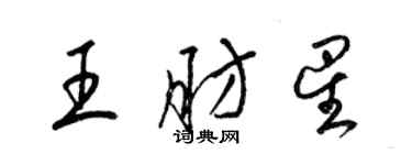 梁锦英王肪星草书个性签名怎么写