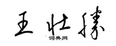 梁锦英王壮胜草书个性签名怎么写