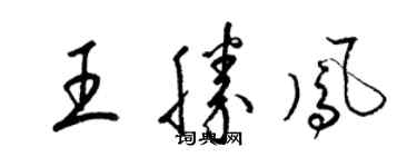 梁锦英王胜凤草书个性签名怎么写