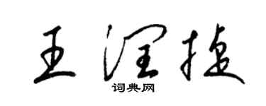 梁锦英王润捷草书个性签名怎么写