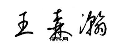 梁锦英王森瀚草书个性签名怎么写