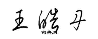 梁锦英王皓丹草书个性签名怎么写