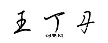 梁锦英王丁丹草书个性签名怎么写