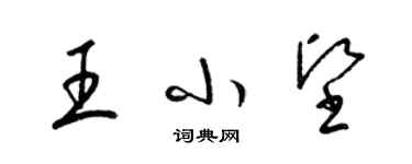 梁锦英王小坚草书个性签名怎么写