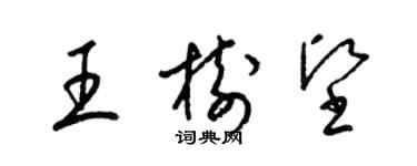 梁锦英王树坚草书个性签名怎么写