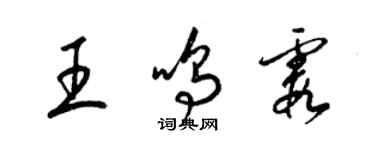 梁锦英王鸣霞草书个性签名怎么写