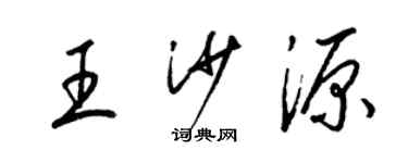 梁锦英王沙源草书个性签名怎么写