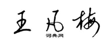 梁锦英王凡梅草书个性签名怎么写