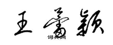 梁锦英王蕾颖草书个性签名怎么写