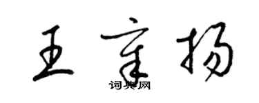 梁锦英王章扬草书个性签名怎么写