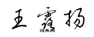 梁锦英王露扬草书个性签名怎么写