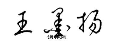 梁锦英王墨扬草书个性签名怎么写