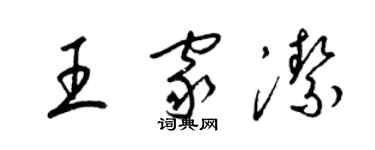 梁锦英王家洁草书个性签名怎么写