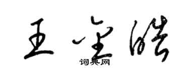 梁锦英王金皓草书个性签名怎么写