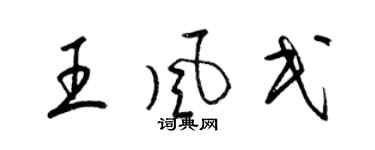 梁锦英王风民草书个性签名怎么写