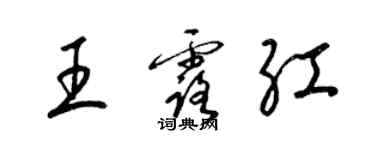梁锦英王露红草书个性签名怎么写