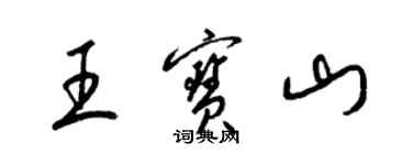 梁锦英王宝山草书个性签名怎么写