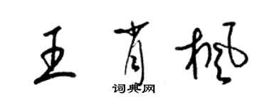 梁锦英王肖枫草书个性签名怎么写
