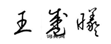 梁锦英王盛曦草书个性签名怎么写