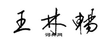 梁锦英王林畅草书个性签名怎么写