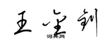梁锦英王金钊草书个性签名怎么写
