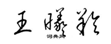 梁锦英王曦羚草书个性签名怎么写