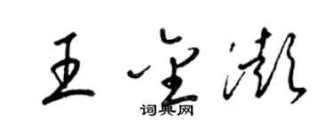 梁锦英王金澎草书个性签名怎么写