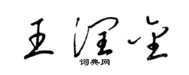 梁锦英王润金草书个性签名怎么写