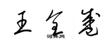 梁锦英王全盛草书个性签名怎么写