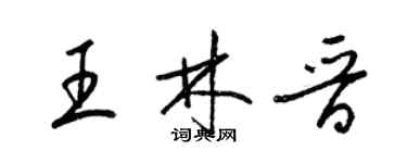 梁锦英王林晋草书个性签名怎么写