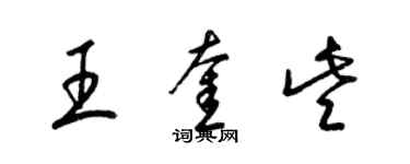 梁锦英王奎些草书个性签名怎么写