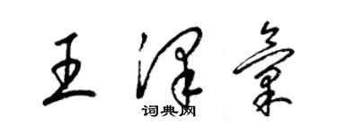 梁锦英王泽汇草书个性签名怎么写