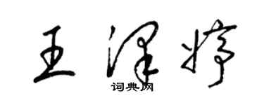 梁锦英王泽婷草书个性签名怎么写