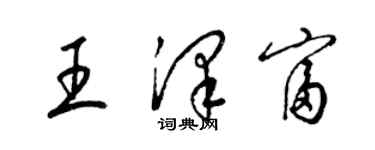 梁锦英王泽富草书个性签名怎么写
