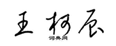 梁锦英王柯辰草书个性签名怎么写