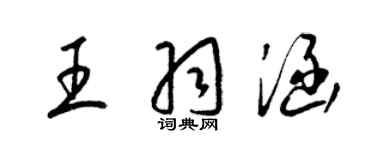 梁锦英王羽涵草书个性签名怎么写
