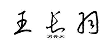 梁锦英王长羽草书个性签名怎么写
