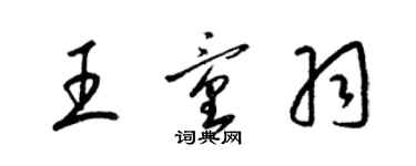 梁锦英王童羽草书个性签名怎么写