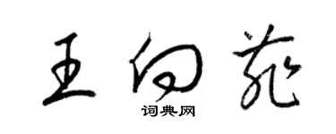 梁锦英王向菲草书个性签名怎么写