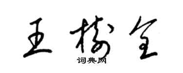 梁锦英王树全草书个性签名怎么写
