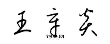 梁锦英王辛炎草书个性签名怎么写
